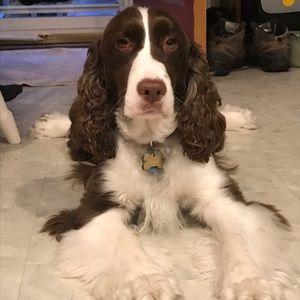 Meet your Posher, Kim